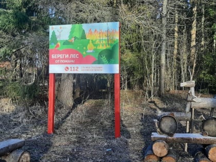 В лесах Орехово-Зуевского округа установлено почти три десятка стендов и аншлагов