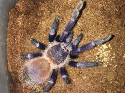 Бесплатное обучение для граждан в рамках федерального проекта