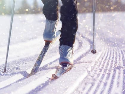 Шесть трасс проложили в Чехове и округе для катания на лыжах