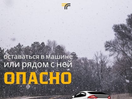 Многие уже планируют дальние поездки в новогодние праздники, а кто-то регулярно ездит не только в черте города, но и по загородным трассам, где скорость движения довольно высокая.