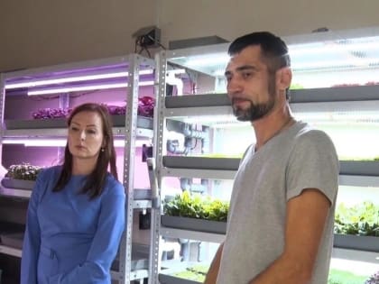 Городская ферма «Росток»: Вклад в здоровое питание