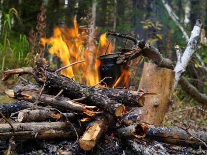 Штрафы за нарушение правил пожарной безопасности в лесах резко возросли