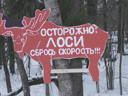 Иск Минэкологии в Истринском городском суде о возмещении ущерба