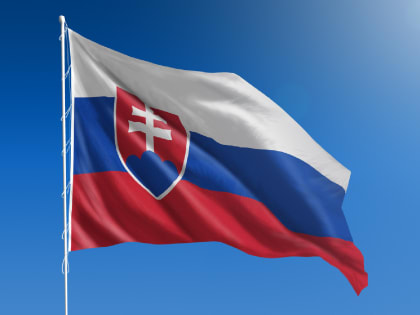 В ЕК заявили о дезинформации на выборах в Словакии