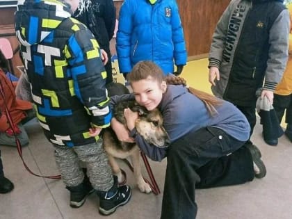 Школьники Подольска посетили приют для животных «Юна»