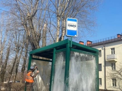 В Воскресенске продолжается месяц чистоты и благоустройства