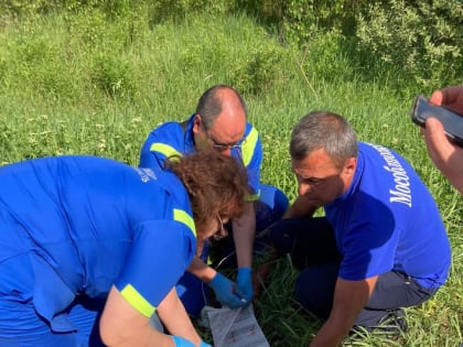 Спасатели Орехово-Зуевского округа ликвидировали последствия ДТП