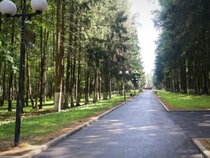 Волоколамск борется с клещами: акарицидная обработка в городе