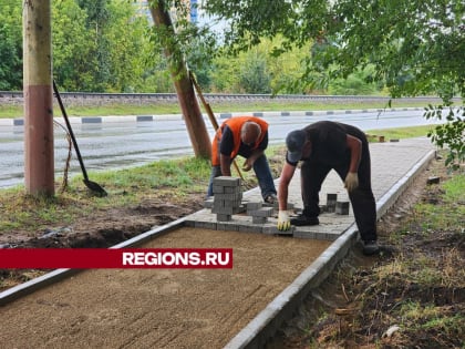 Безопасность на дорогах: акция в Лобне