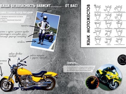 Информация ГИБДД