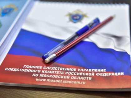 Бастрыкин взял под контроль дело о дольщиках в Звенигороде