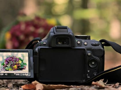 Воспитанников школы №338 пригласили к участию в конкурсе