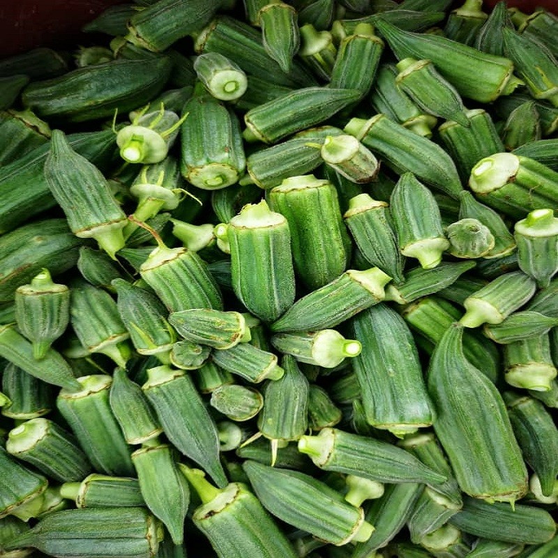  1/kg gombo