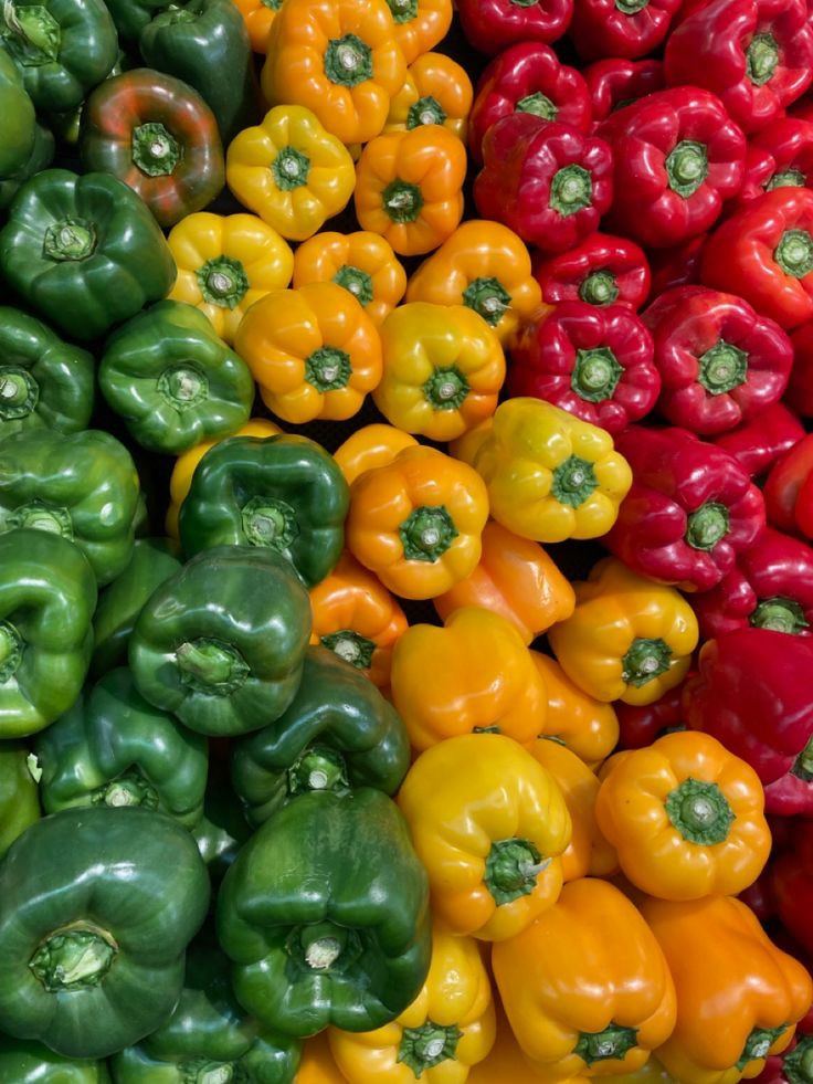  1/kg Poivron