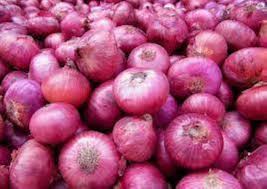  1/kg Oignons Violet
