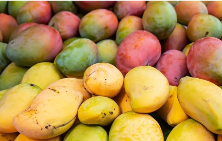 Mangue 