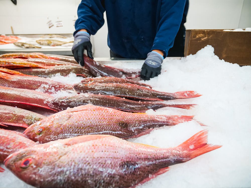 Poissonnerie 