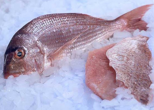 Carpe rouge 10kg
