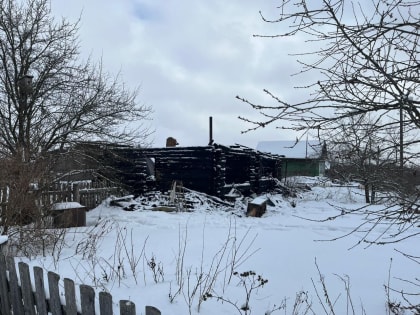 Пожилой мужчина погиб на пожаре под Рамешками