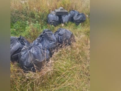 Под Рамешками жители устроили несанкционированные свалки в своей же деревне