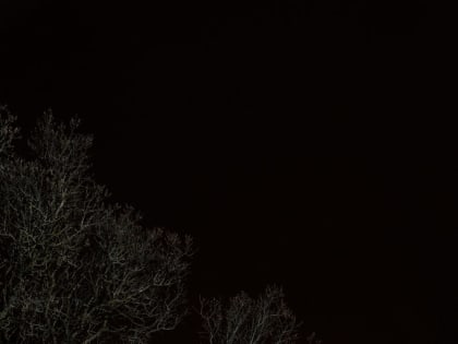 В Иоанно-Предтеченской церкви в Козлове прошло архиерейское богослужение