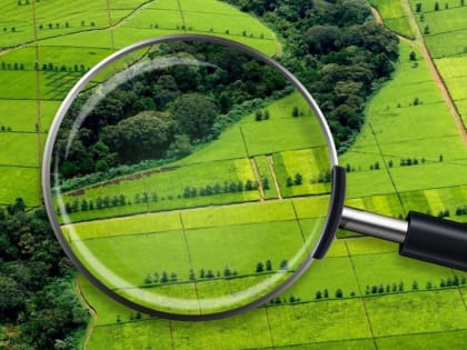 Видеоконференция по аудиту землепользования