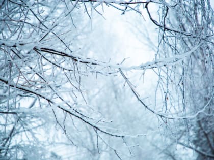 Зима задерживается в Верхневолжье: прогноз погоды на следующую неделю