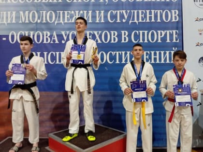 В Твери определили победителей Рождественского турнира  по тхэквондо - ВТФ
