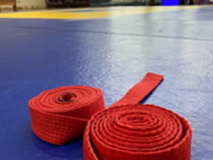 В музее Пушкина под Старицей пройдут Новогодний и Рождественский балы