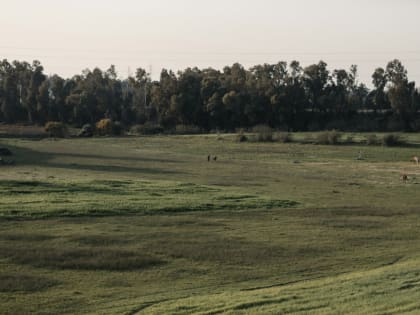 Более 5,5 тысяч нарушений земельного законодательства выявлено специалистами тверского Росреестра в 2024 году