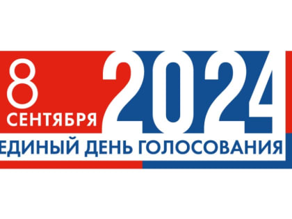 Губернаторские выборы в Курской области: важное голосование для региона
