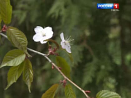 Более 33 тысяч человек проголосовали за благоустройство Тверской области