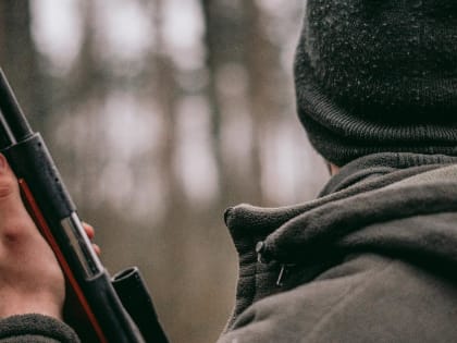 Под Торжком задержали браконьера, застрелившего лося
