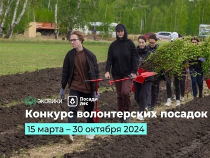 В России стартует Открытый конкурс посадок деревьев на лесных территориях, пострадавших от природных катаклизмов