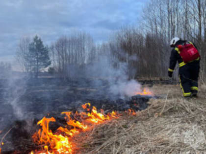 В Калининском округе Тверской области введен особый противопожарный режим