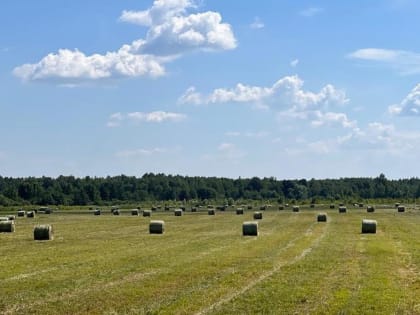 Стало известно, где в Тверской области активнее всего заготавливают корма