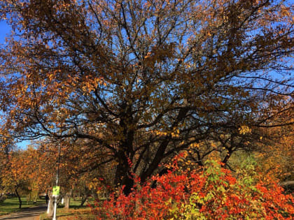 Тверь сталкивается с изменениями климата