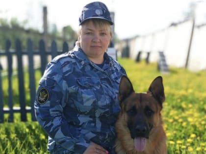 Служебный пес помог найти пропавшего в Тверской области пенсионера