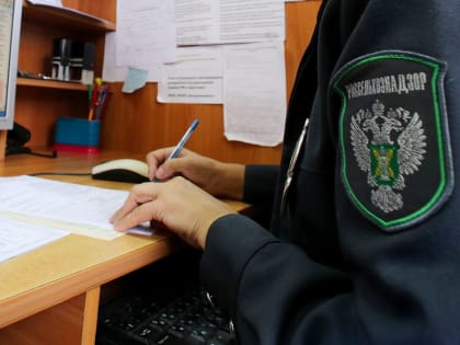 Нарушения земельного законодательства в Ярославле