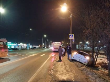 В Твери автомобиль съехал с дороги в дерево — пострадал ребенок