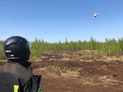 В Тверской области сохраняется высокая пожарная опасность