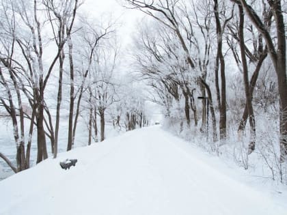 Погода в Твери сегодня: начинается похолодание