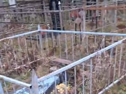 В Тверской области неизвестные вандалы разгромили кладбище