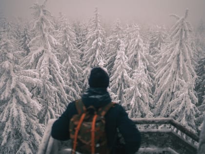 Погода в Твери сегодня: морозно и ветрено