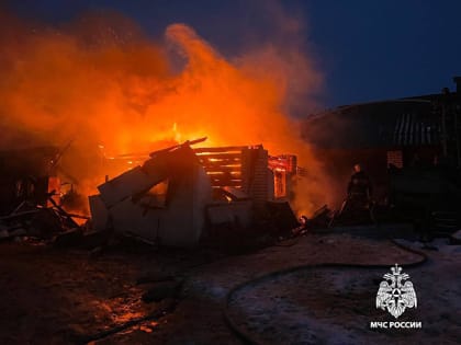 Страшный пожар в Вышневолоцком округе унёс жизнь ребёнка