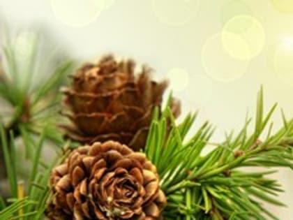 С праздником!