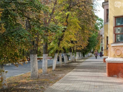 В Тверской области 18-24 сентября будет до +25, а в среду местами ливень