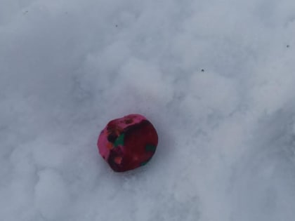 Пассажира с амфетамином задержали на вокзале в Ржеве