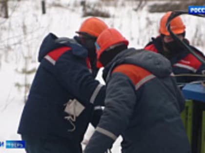 Детского омбудсмена Тверской области Ларису Мосолыгину внесли в санкционный список Украины