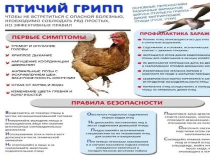 В Твери ведется профилактическая работа   по предупреждению распространения птичьего гриппа   